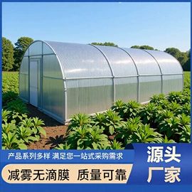 其他塑料薄膜;手账贴纸/胶带;农用薄膜