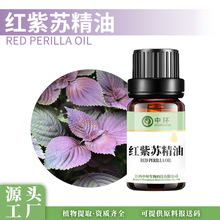 红紫苏油红紫苏叶油植物单方精油化妆品原料提供报送码厂家供应