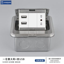 赞牌不锈钢弹起式意大利三孔跨境出口意式意标带usb插口地面插座