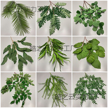 ��c�Gɫϵ����Y������b廨�������~�������~�O���~�Gֲ