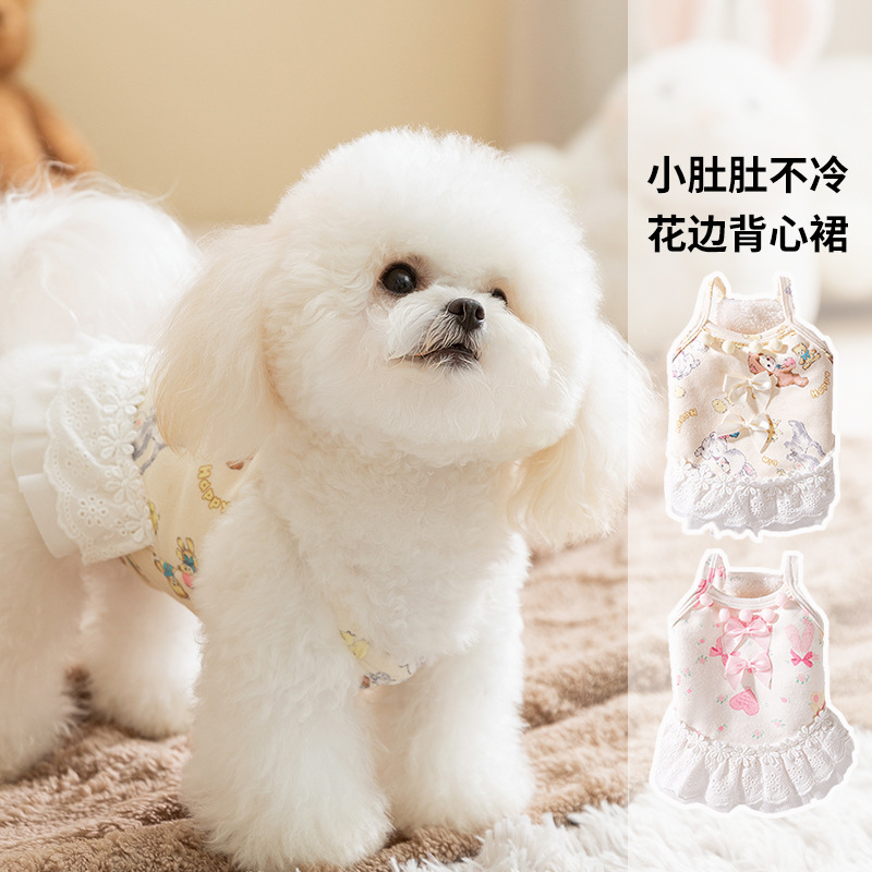 Otoño e invierno perro engrosamiento más terciopelo princesa viento cálido arco encaje chaleco falda gato falda ropa para mascotas