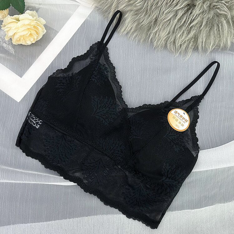 블랙-1 팩 [3 일 전용]]