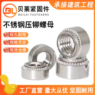 304���P䓉��T��ĸ̼䓻��X�۾o��ĸ�{���\������ñ