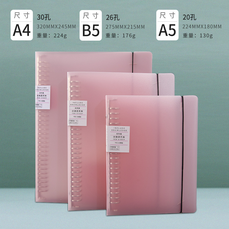 A4/30 홀/핑크 빈 클립 스트랩