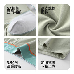 Men's underwear wholesale solid color cotton boxer briefs youth student sports breathable antibacterial men's underwear pure cotton wholesale