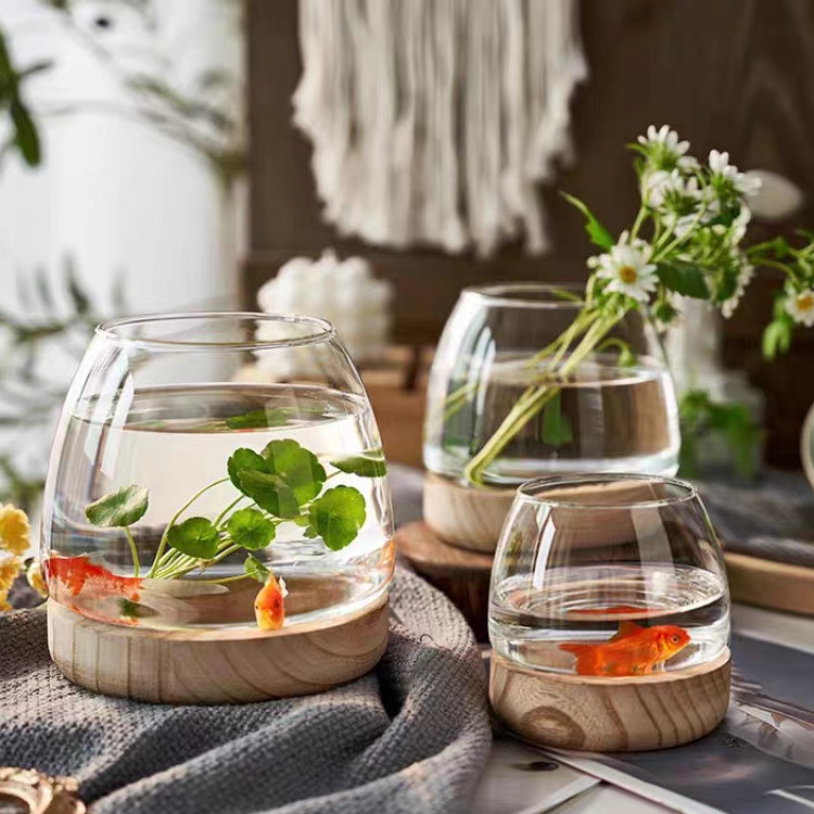 Jarrón de vidrio transparente con soporte de madera de estilo japonés, planta hidropónica de rábano verde, pecera ecológica, arreglo floral de escritorio simple, decoración