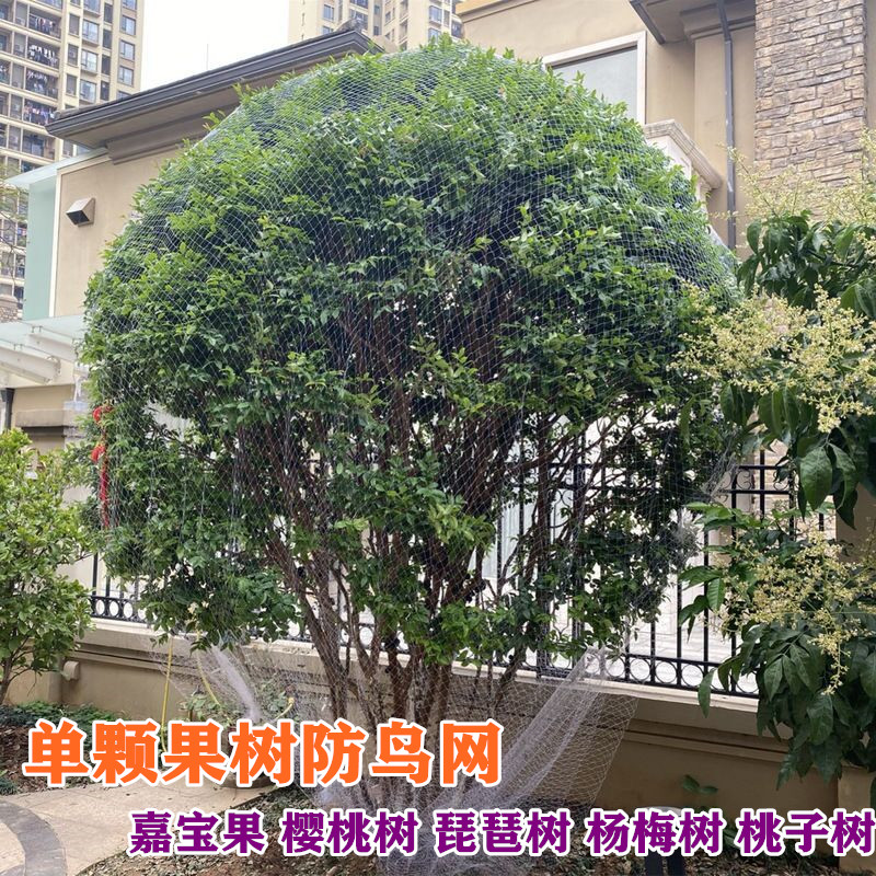 j8果树防鸟网果树网丝网用的网防鸟网家用嘉宝果树罩樱桃枇杷树g3