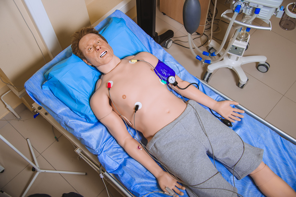 Leonardo ��´���߱���ģ����