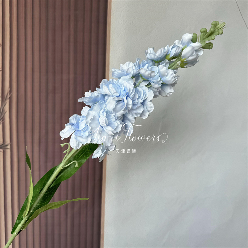 큰 바이올렛