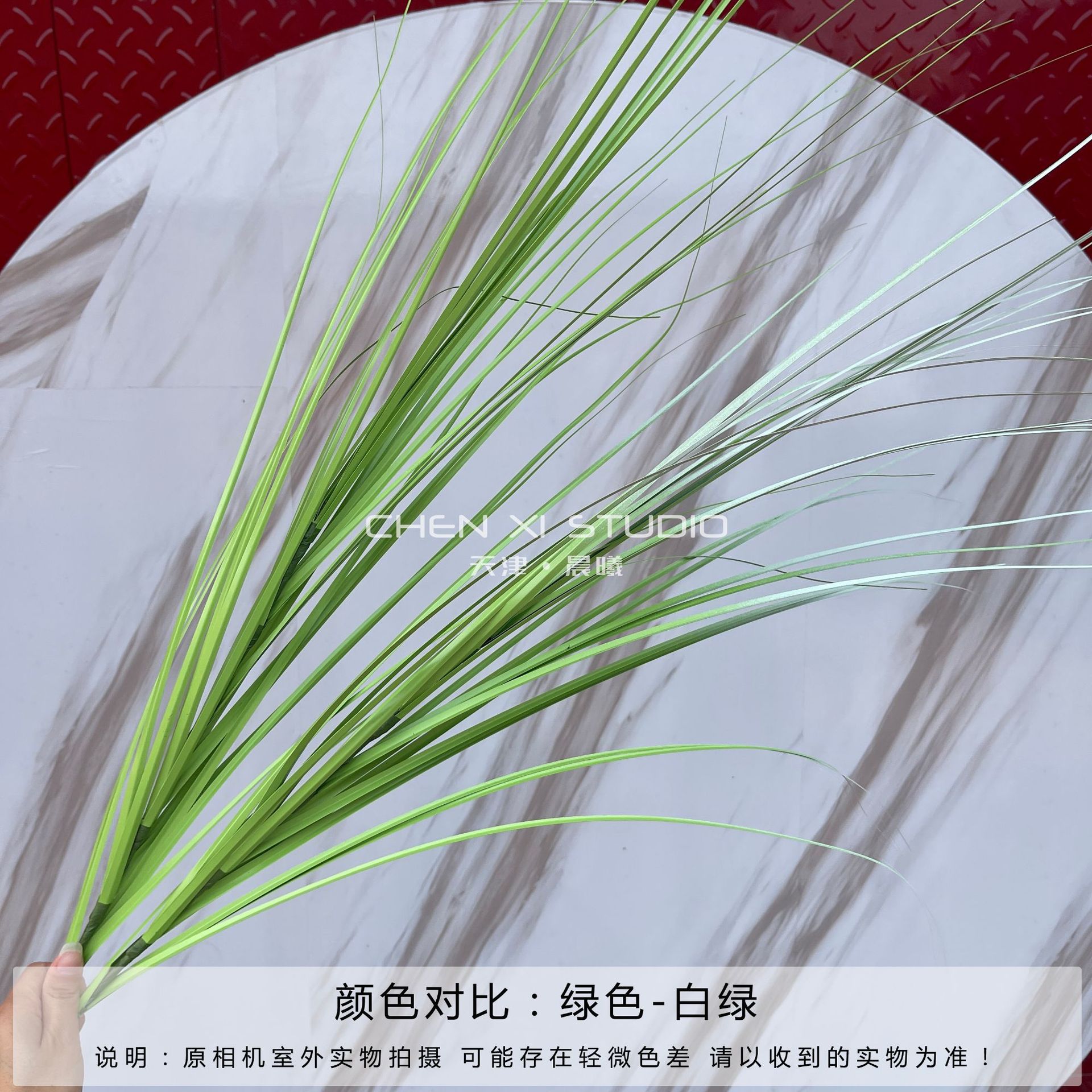 芦苇洋葱草春草庭院装饰莫奈之窗园林造景狗尾草芦苇蒲公英酒店布