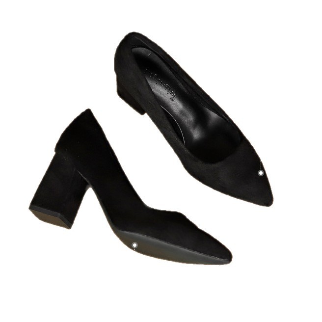 2026 primavera y verano nuevo color sólido tacones gruesos punta de moda zapatos de mujer temperamento de trabajo zapatos de tacones altos zapatos de moda