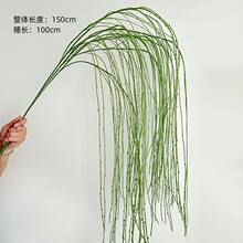 ����֦��ѿ֦�������û�c�쾰���Gֲ�~����Ġ���ˇ�g���l