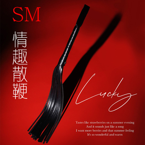 Jiuai SM Leather Whip Adult Alternative Toy Couple Sex Toy Tassel Horsewhip Manufacturer Supply Generation