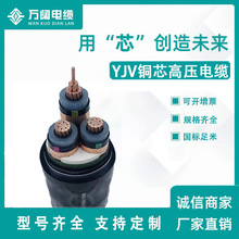 �ӹ������~о10KV�߉������|YJV22-8.7/15KV���˼��~��|