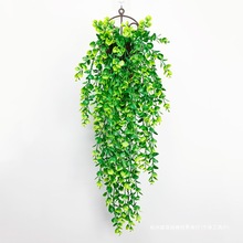 �羳�����ٗl �ȼ����ڒ�Gֲ �Ҿӑ����b��ّҒ�ֲ������