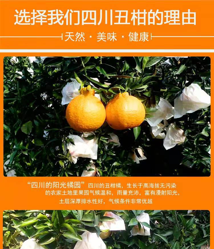 微信图片_20220107125727