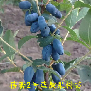 �{�V���������ϱ����ļ��̨ˮ����NֲͥԺ���N������箔��Y��