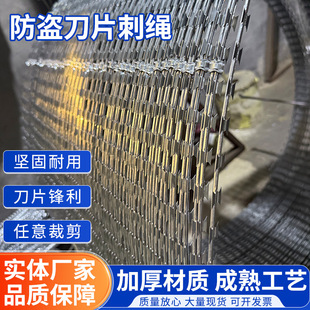 Blade Barbed Wire Hot-Dip Galvanized Breeding Orchard Anti-Climbing Barbed Wire Isolation Net Fence Double-Strand Steel Wire Barbed Wire