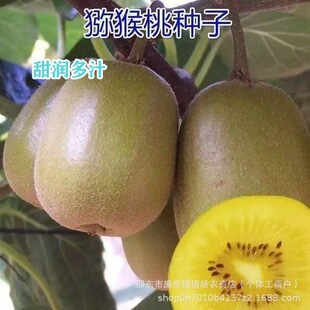 �J���ҷN���ϱ����N�殐���I�B�S��ͥԺ���Ե����ļ�ˮ��