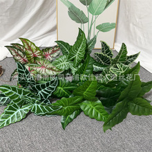 ���W����ֲ�������~�����҃ȿ͏d�쾰�bپGֲ��Ů�~�R���~