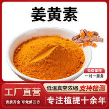 姜黄素98%高纯度姜黄提取物 食品级原料姜黄色素粉姜黄粉厂家正品