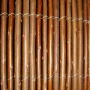 园林25x200柳条柳篱笆