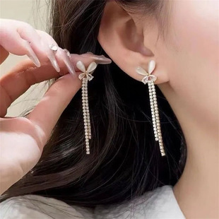 Clear Manual Butterfly Tassel Long Earrings Women's Popular Silver Needle Temperament Women's Long Long Style High-end Celebrity Earrings Trendy
