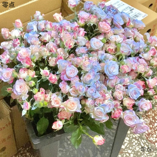 ����{���^õ���r��DIY����Ů����ĸ�H���DŮ���̎������˹�����