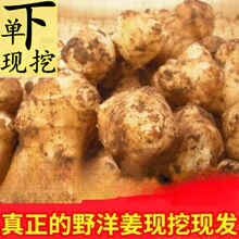 ��10���󽪡��F�������r���ӽ������������󽪷N��2��5���l