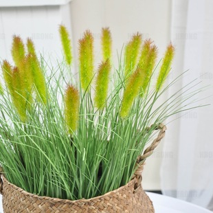 �羳�����JȔ�ݷ��湷β�������쾰�݈F�b���ؔ[����β�Ͳݷ���