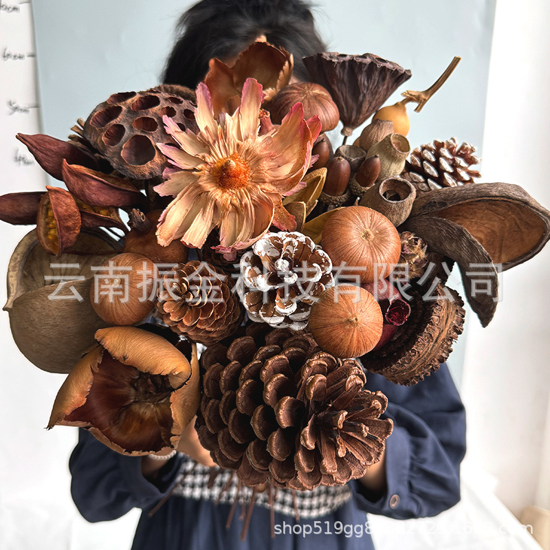 文艺复古中式真花干花花束莲蓬松果凤凰花果壳类拍摄道具