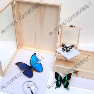 ���x����չʾ�ռ{�Ќ�ľ�ʯֲ��˱��д�̖���w�Ӻ�젝���l