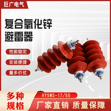 巨广10KV配电型高压避雷器HY5WS-10/30柜内外线路型 氧化锌避雷器