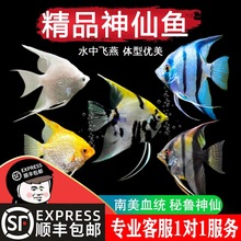 �~���~���^�p�~�߲ʟᎧ�������~С�͵�ˮ���B���������~