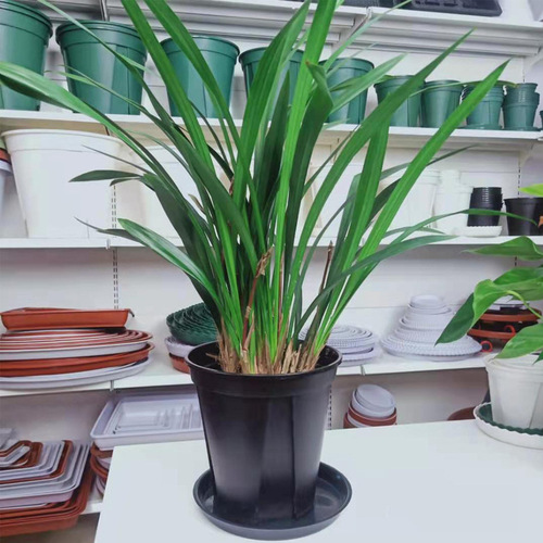 Large thickened flower pot tray, plastic flower pot bottom tray, mobile flower tray with direct edge water tray, flower pot chassis wholesale