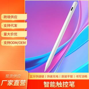 Cross-Border Magnetic Stylus Suitable for Apple Pencil Tablet Painting Special Protective Touch Capacitive Pen Wholesale