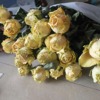 [Rose dried flowers] Wholesale dried flowers rose single -head rose air -dried rose box packaging material