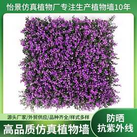 仿真植物墙跨境绿雕供应金钱花造景装饰背景墙景观绿化仿真绿植墙