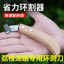 ��֦�h�����_�׵����ۭh��������Ѹ����O����h�����h����