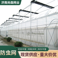 防虫网农用植物养蟹养蛙果蔬防虫加厚60目网罩大棚防蝇网片防虫网