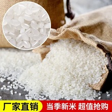 當季新米廠家直銷東北大米五常大米珍珠米稻花香米長粒香米批發價
