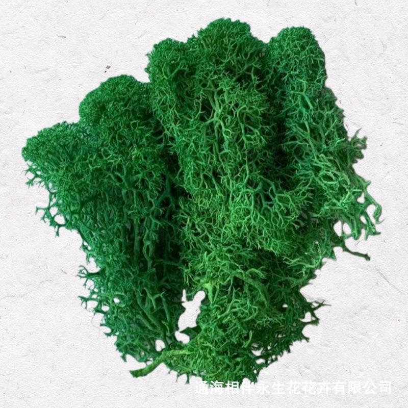 Dark fruit green·Eternal moss