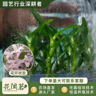 ��ʯ�� 3060 ����ƿ���׳ɻ�M��С�� �҃������Ի��� ����r��