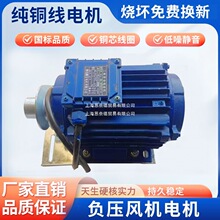 ؓ���L�C늙C�R�_ȫ�~������I���L�ȓQ���Ś��Ȍ������ஐ��늙C