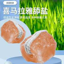 厂家批发巴基斯坦进口宠物舔盐畜牧类牛羊舔块营养盐块动物舔盐