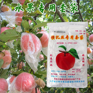 Apple Bagging Plastic Fruit Film Bag Horizontal Special Bagging Fruit Bag Pear and Peach Waterproof Bird-proof Insect-proof Breathable