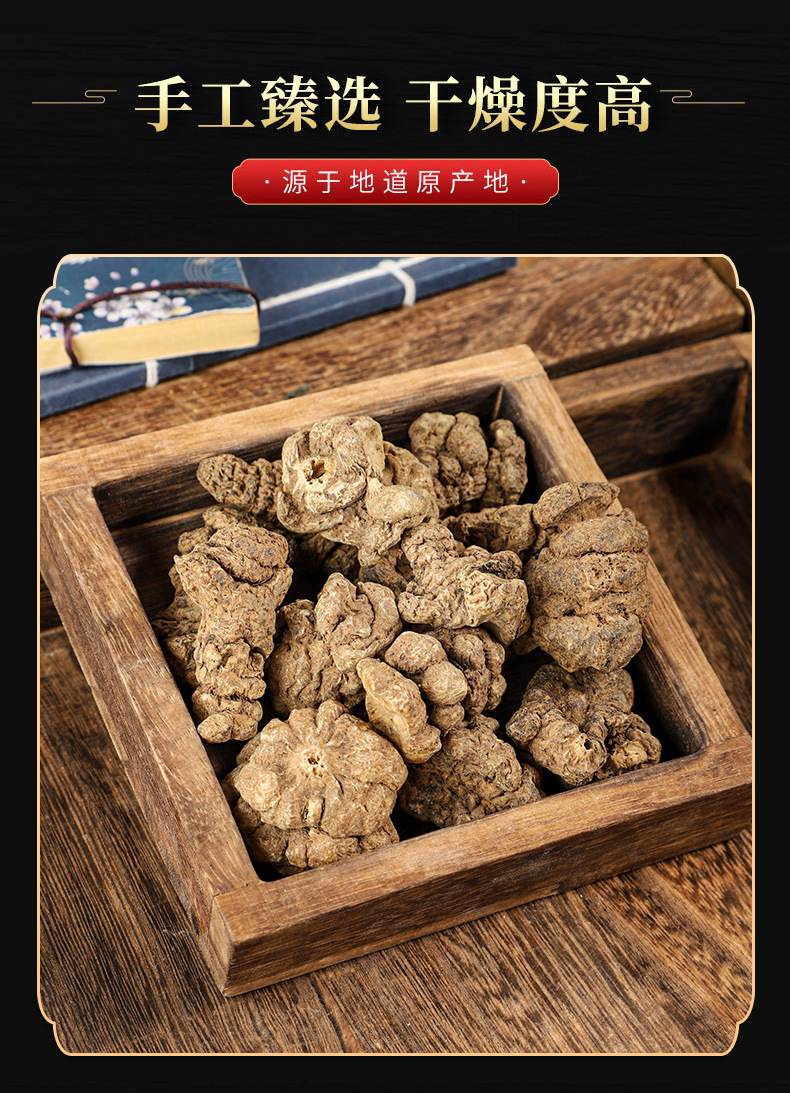 Zhu Jie Shen (Panax japonicus) — Dried Rhizome Pieces, Japanese Ginseng Root quality and texture