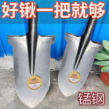 挖树锹尖头铁锹锰钢淬火泥锹农用挖沟挖树挖山药园艺加长钢锹长柄
