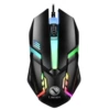 S1, black mouse