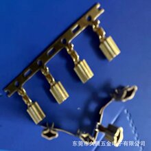 ���v�Ԓ������1.3�Aᘲ��ĸ���Ӱ��������Ԓ���B�m�S�~�B����